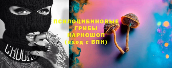 индика Наволоки