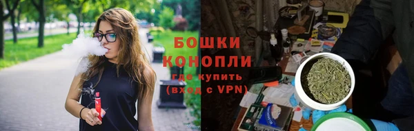 шишки Нефтегорск