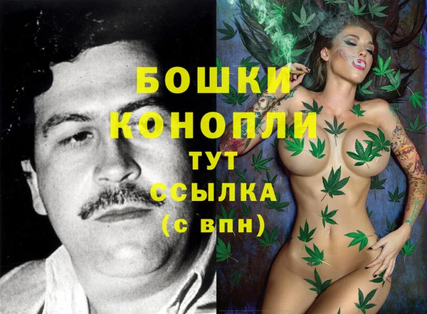 шишки Нефтегорск