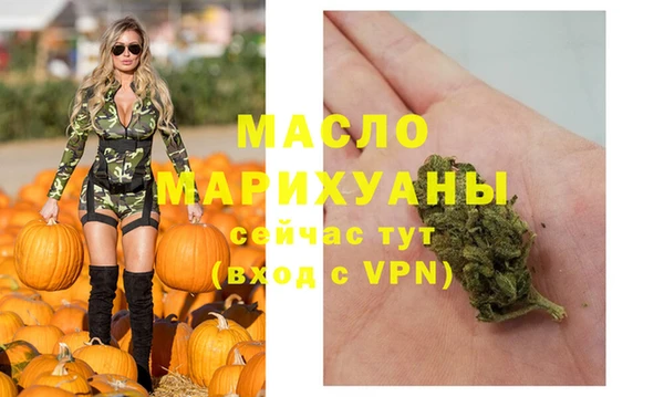 индика Наволоки