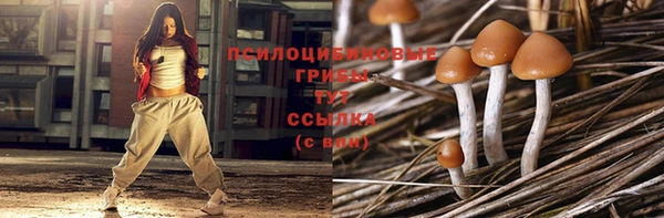 дживик Нефтекумск
