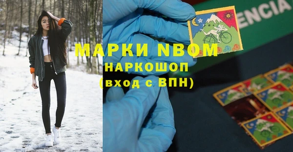 индика Наволоки