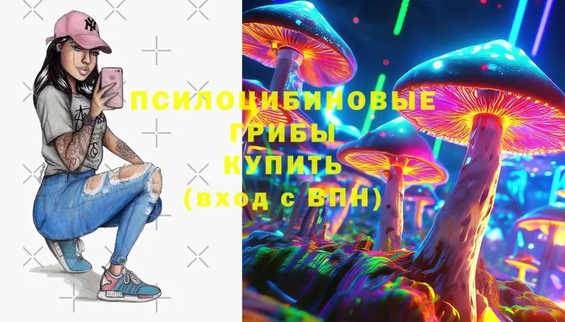 Псилоцибиновые грибы Cubensis  даркнет сайт  mega ссылки  Богданович 