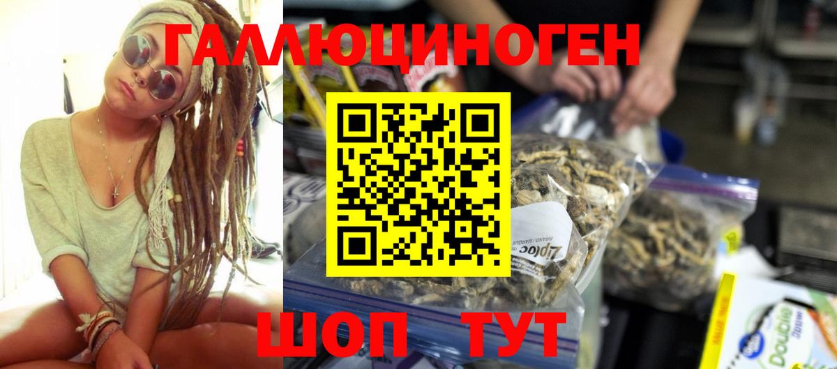 Галлюциногенные грибы прущие грибы  Вход с VPN  Богданович 