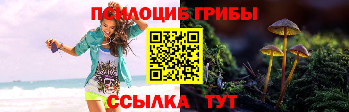 Псилоцибиновые грибы мицелий Богданович