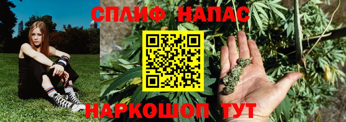 Бошки Шишки семена Богданович